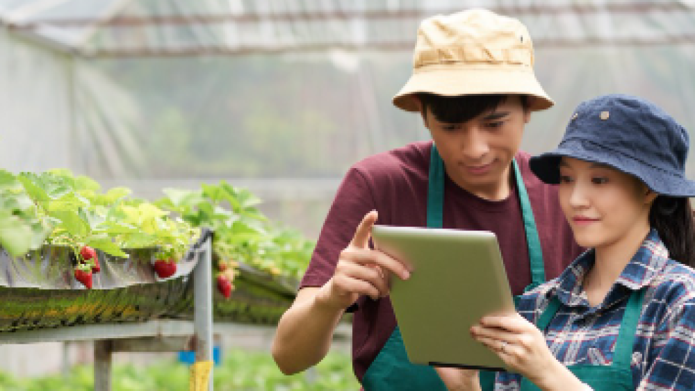 Gambar 15 Rekomendasi Judul Skripsi S1 Agribisnis Terbaik Biar Cepat Lulus